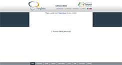 Desktop Screenshot of funghitex.com